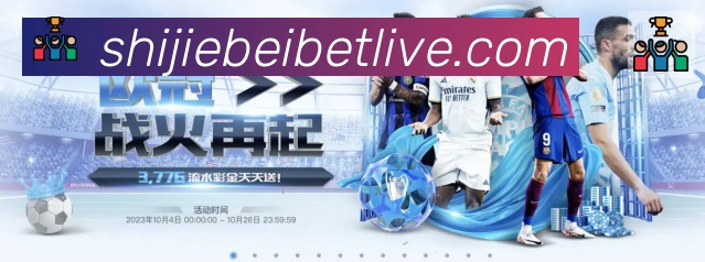奖项4